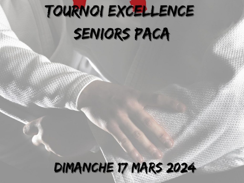 Image de l'actu 'Tournoi Excellence seniors PACA'