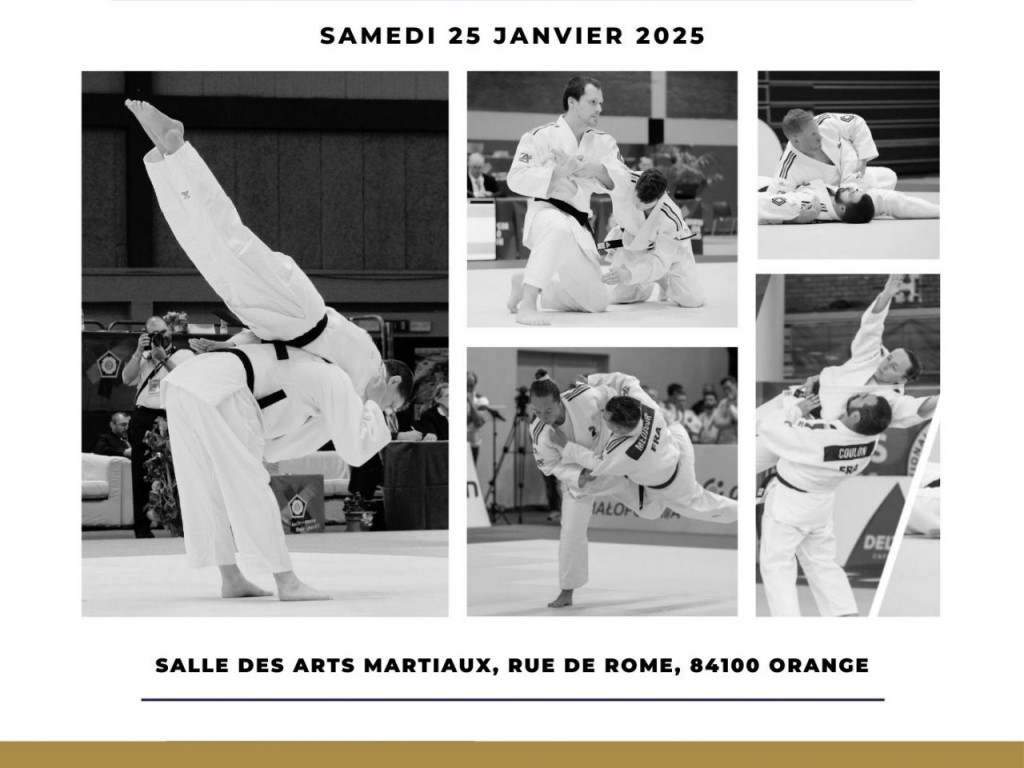 Image de l'actu 'Open national kata d'Orange'